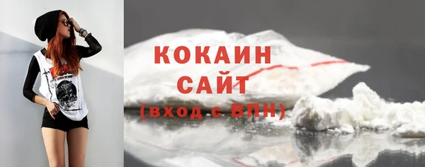 mix Богородицк